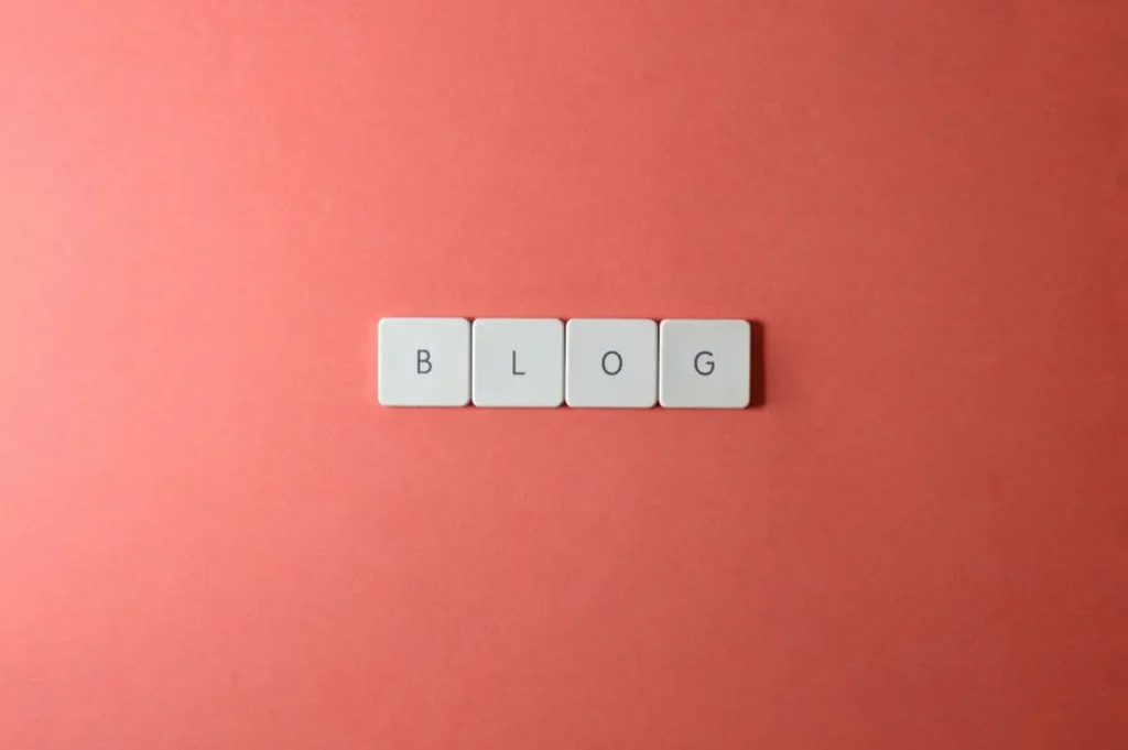 BrumeBlog Backlink Profile: A Beginner-Friendly Overview