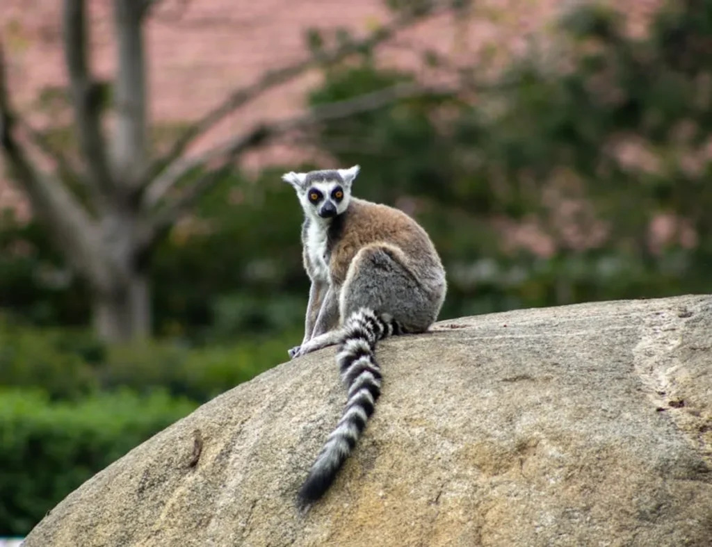 Long Tail Keyword Generator: Find Easier SEO Opportunities
